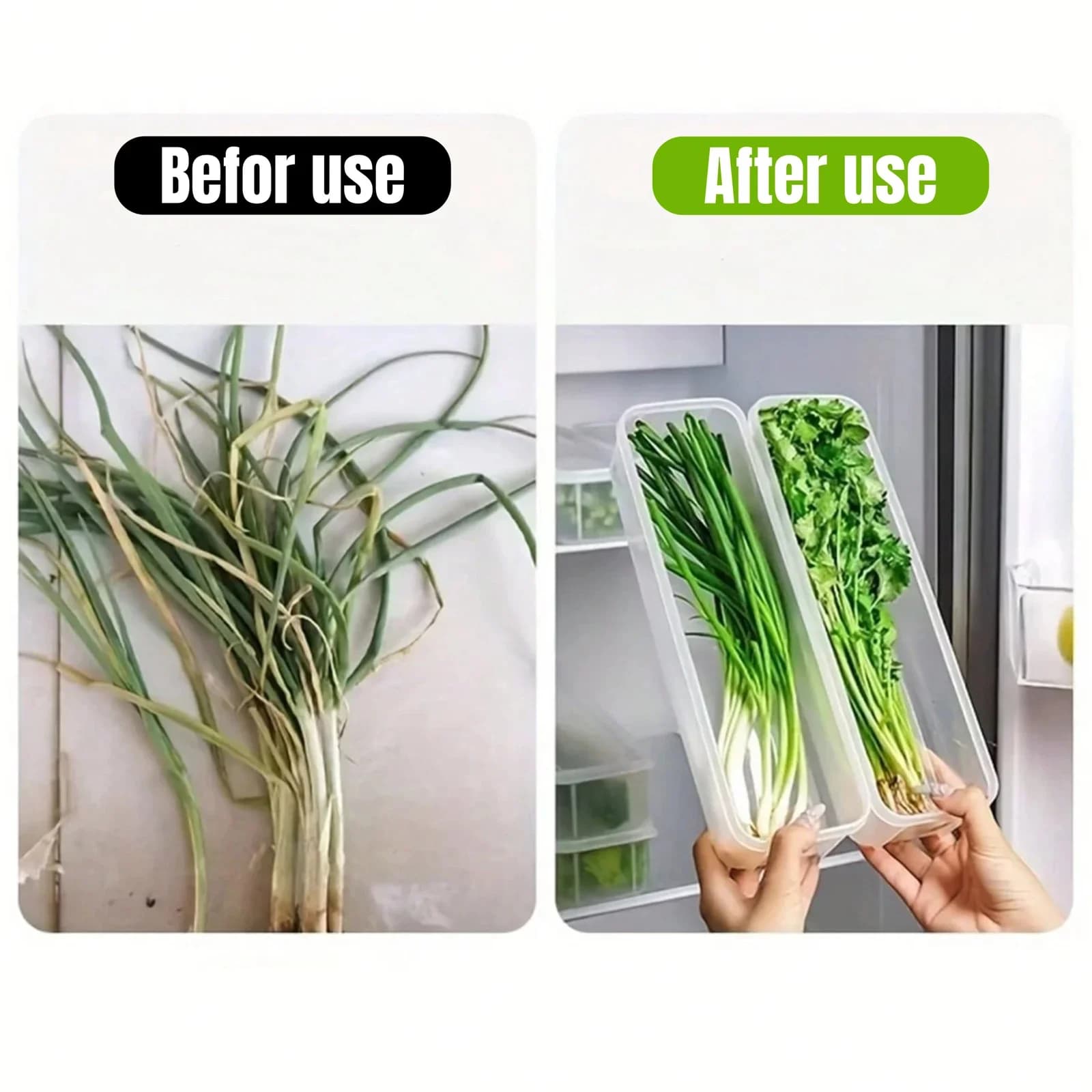 Hộp Đựng Thực Phẩm Tủ Lạnh Có Nắp 1/2/4 Món Khay Nhựa Giữ Tươi Hành Ngò Mì Sợi Kín Khí