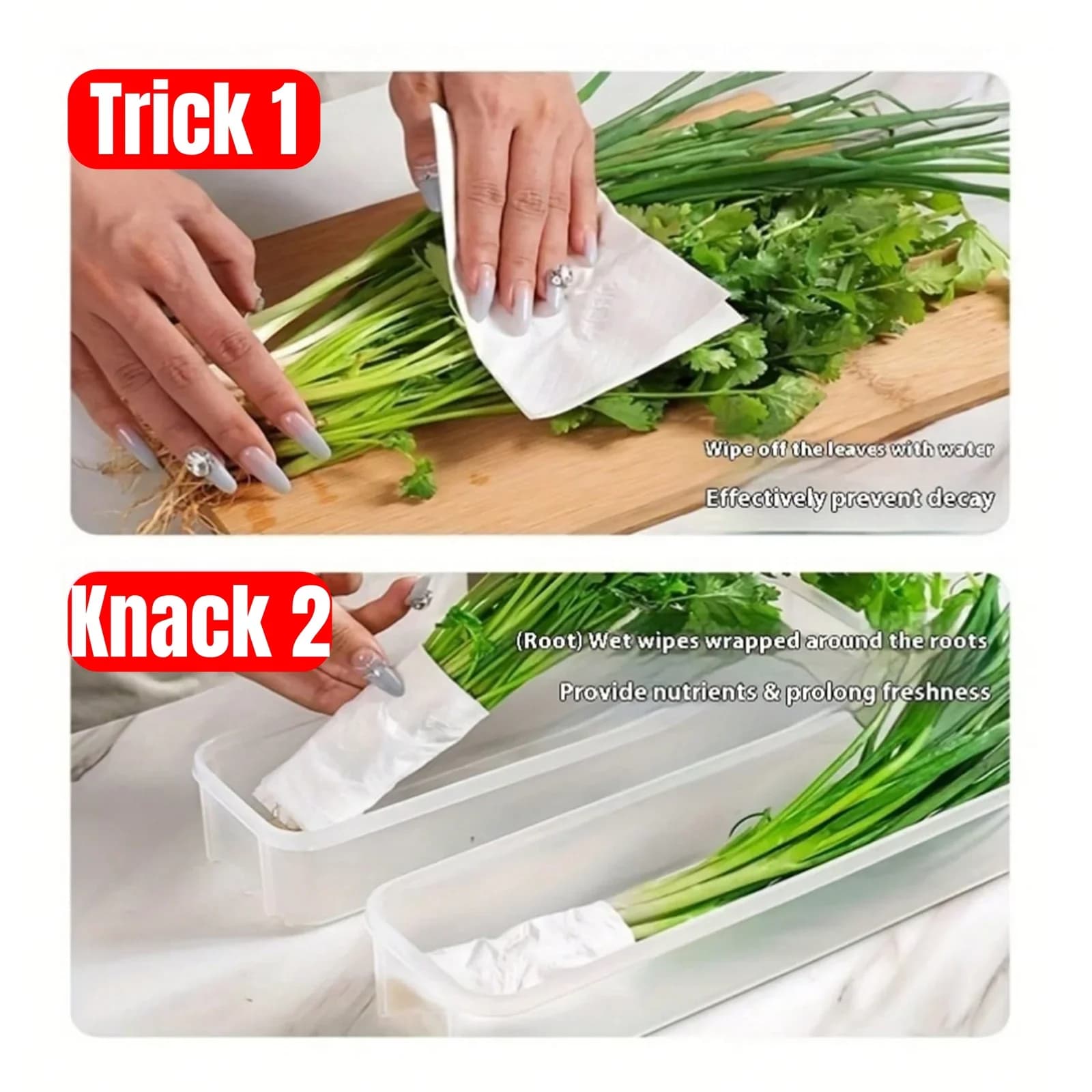 Hộp Đựng Thực Phẩm Tủ Lạnh Có Nắp 1/2/4 Món Khay Nhựa Giữ Tươi Hành Ngò Mì Sợi Kín Khí